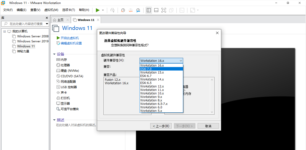 選擇硬件兼容性版本
